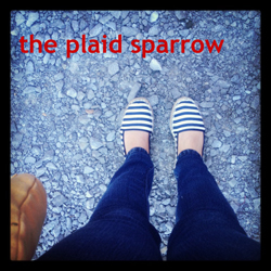 sparrow